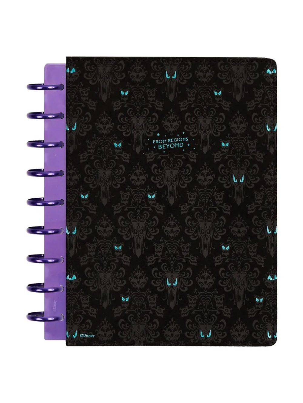 Happy Planner Haunted Mansion Deluxe Undated Classic Dashboard Planner